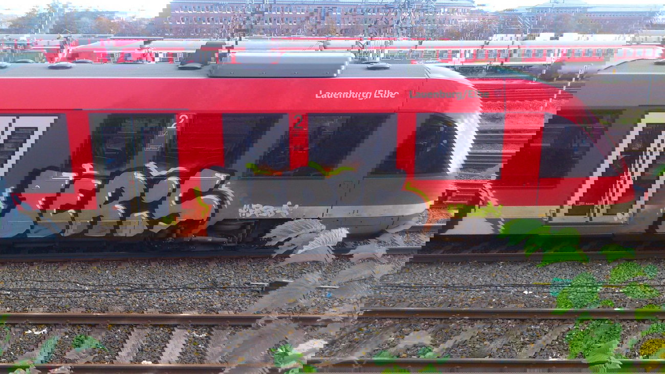 Graffiti Train - Photo by kieltaggsatnight - Teris (2013)