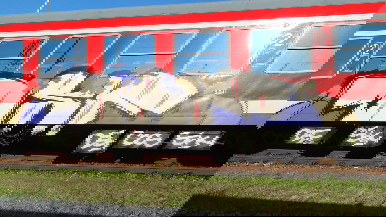 Graffiti Train - Photo by kieltaggsatnight - DSF (2013)