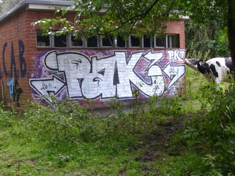 Graffiti Bombing - Photo by kieltaggsatnight - Pak (2011)