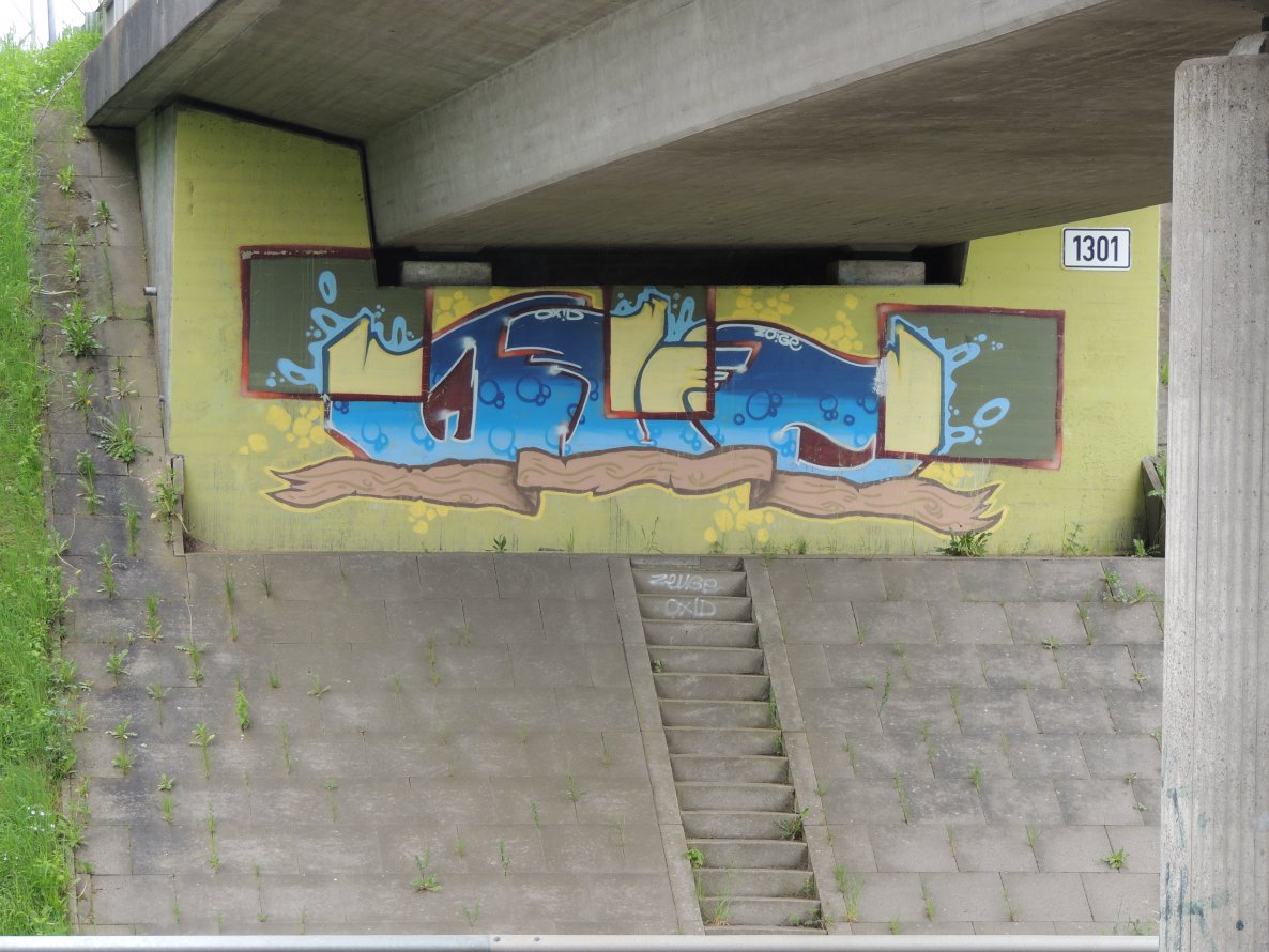 Graffiti Bombing - Photo by kieltaggsatnight - QVD