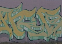 Photo #95260 by TagHagel