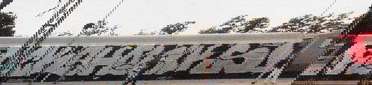 Graffiti Train - Photo by king - rockaholiks, rhs, sok