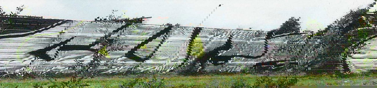 Graffiti Bombing in Bremen - Photo by king - cue (2000)