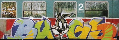 Graffiti Train - Photo by king (2000)