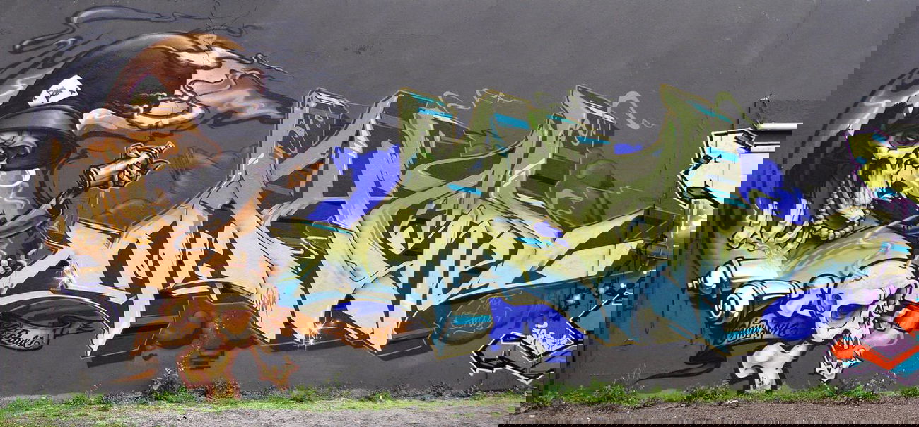 Graffiti Wall in Hamburg - Photo by king - anus, ohm