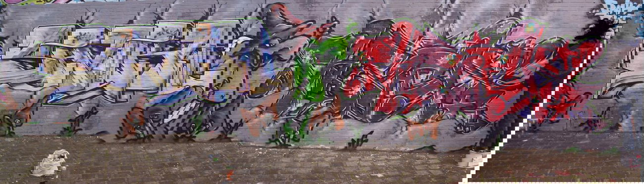 Graffiti Wall - Photo by king - shaka, frek, phrek