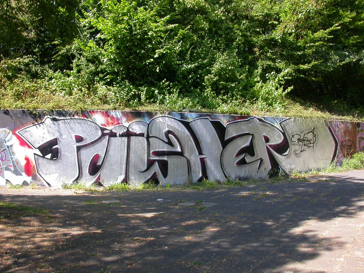 Graffiti Wall - Photo by king - pasher