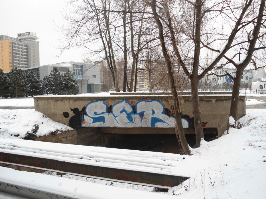 Graffiti Bombing in gera - Photo by kingkong - Ser, S&S