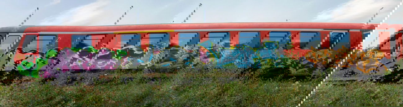 Graffiti Train - Photo by kingkong - Atos, Ser, Käry