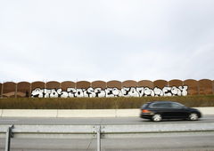 Graffiti Bombing in Gera - Photo by kingkong - Atos, Zois, Ser (2013)