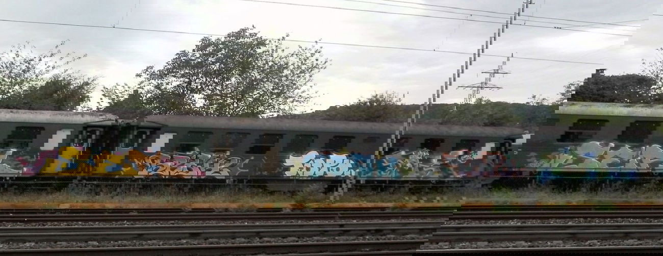 Graffiti Train - Photo by kingkong - ser, srek, topo (2012)