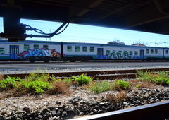 Graffiti Train - Photo by kingkong - kers, ser