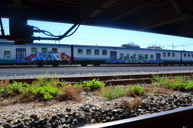 Graffiti Train - Photo by kingkong - kers, ser