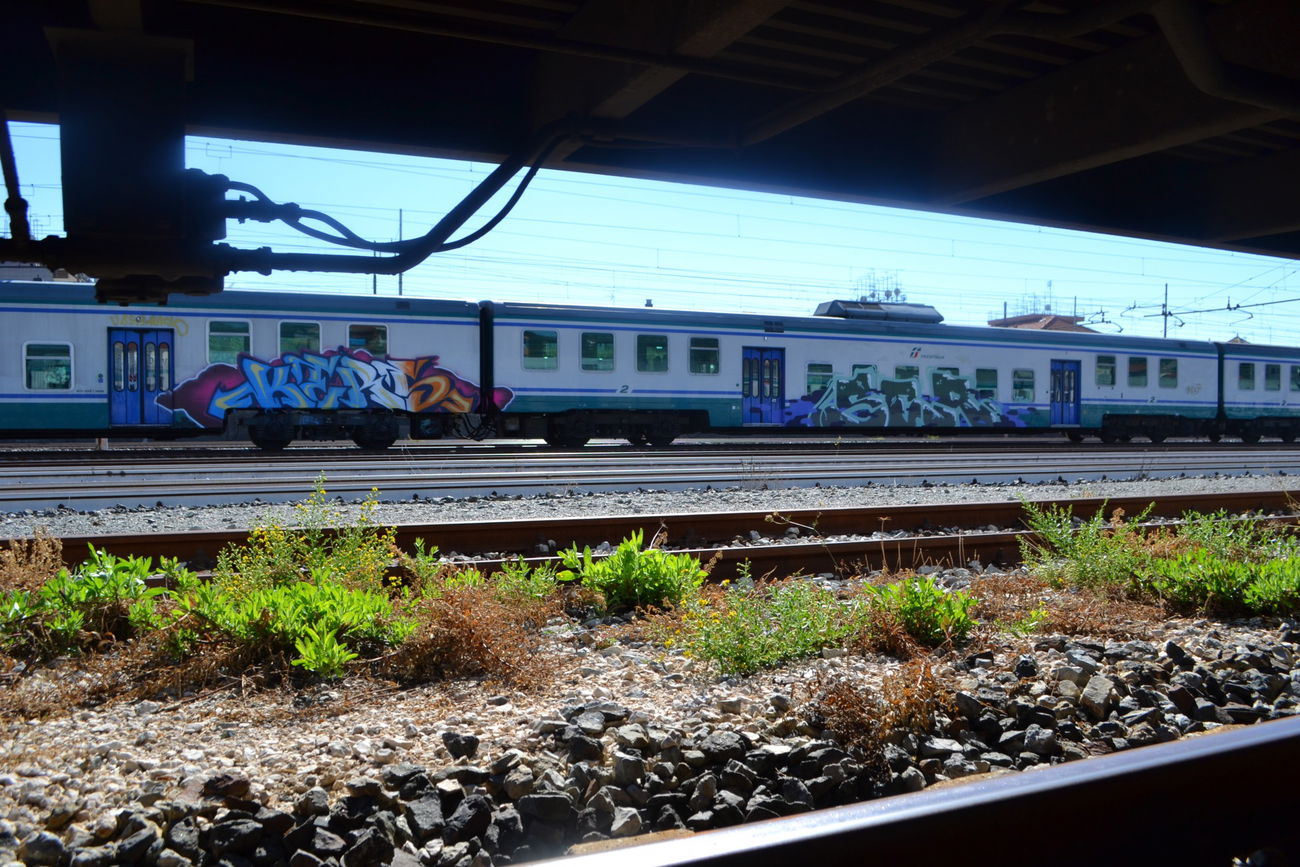 Graffiti Train - Photo by kingkong - kers, ser