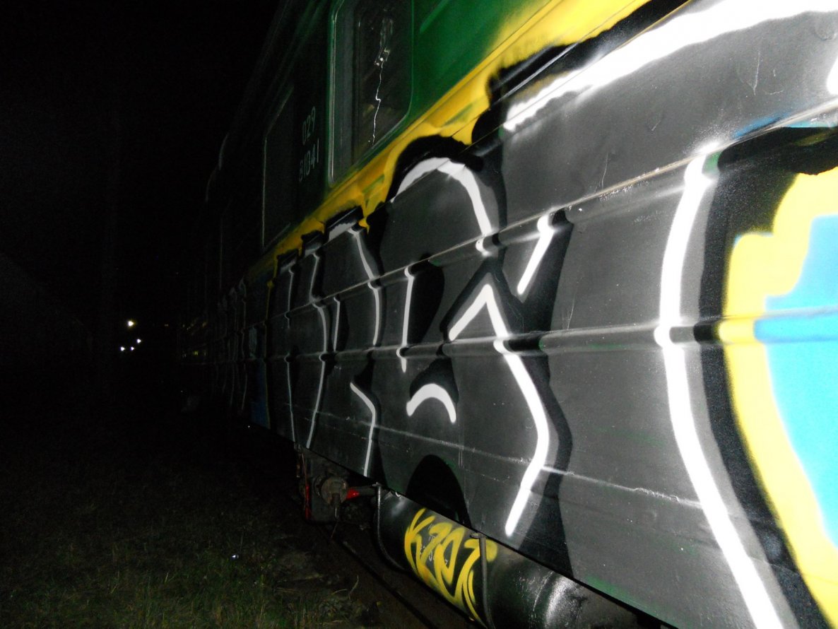 Graffiti Train - Photo by kitoviy (2010)