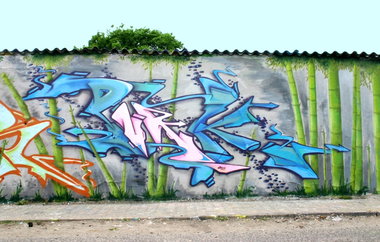 Graffiti Wall - Photo by kleenapunka - punk, pank, kodie (2011)
