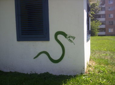 Graffiti Street Art in Bielaaziorsk - Photo by kloy