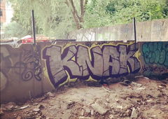 Photo #240901 by newz