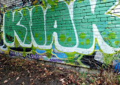 Photo #240902 by newz