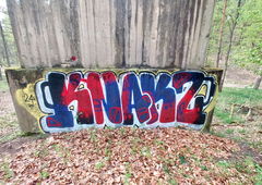 Photo #240910 by XtraSerious