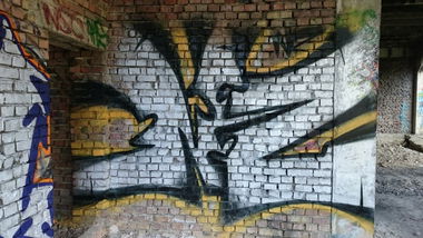 Graffiti Bombing - Photo by koal (2015)