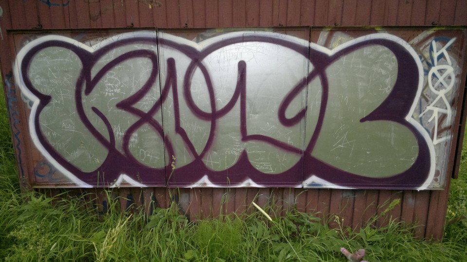 Graffiti Bombing in Muszyna - Photo by koal - koal, koalone (2013)