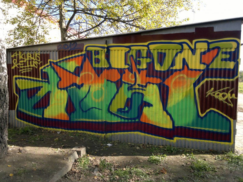 Graffiti Bombing in Tarnow - Photo by koal - koal, koalone (2012)