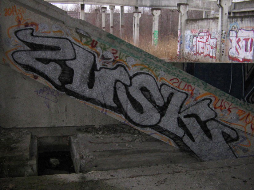 Graffiti Bombing in Tarnow - Photo by koal (2011)
