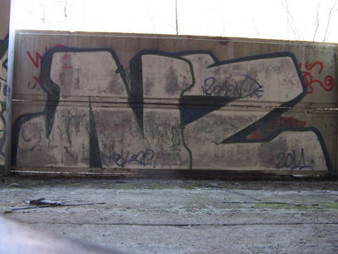 Graffiti Bombing in Tarnow - Photo by koal (2011)
