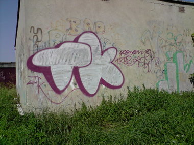 Graffiti Bombing - Photo by koal (2009)
