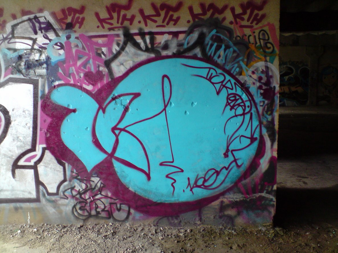 Graffiti Bombing - Photo by koal
