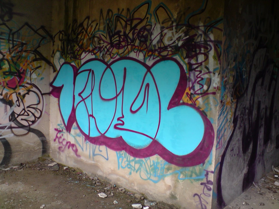 Graffiti Bombing - Photo by koal (2009)