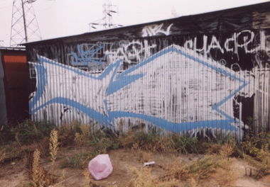 Graffiti Bombing - Photo by koal