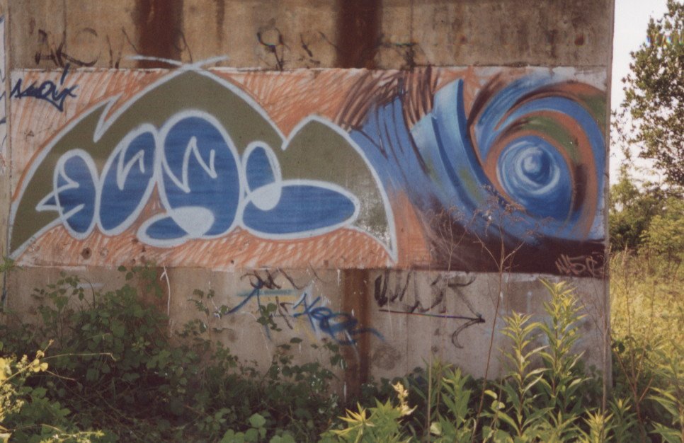 Graffiti Bombing - Photo by koal