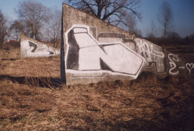 Graffiti Bombing - Photo by koal