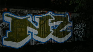 Graffiti Bombing - Photo by koal (2014)