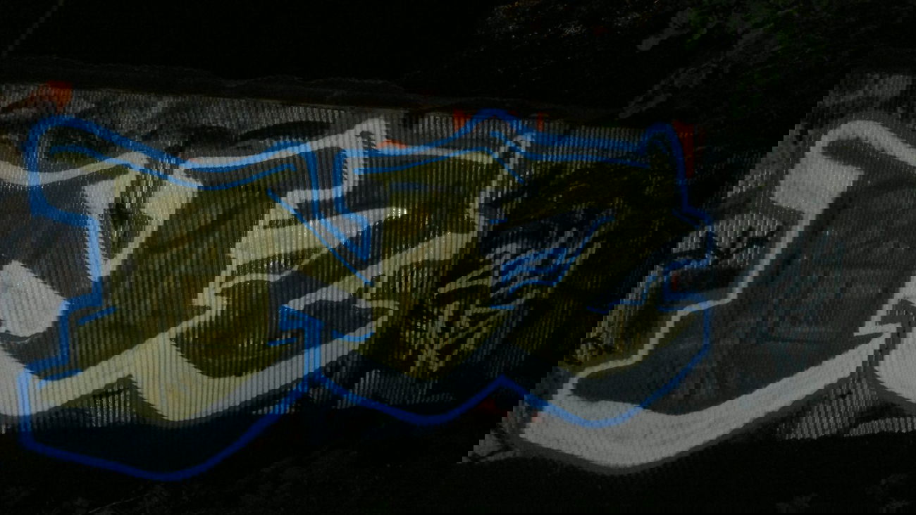 Graffiti Bombing - Photo by koal (2014)