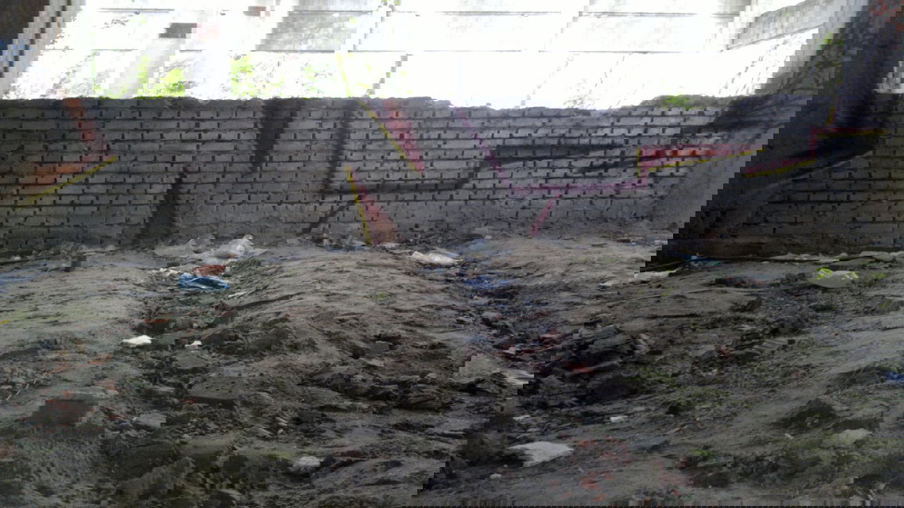 Graffiti Bombing - Photo by koal (2014)