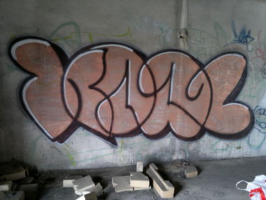 Graffiti Bombing - Photo by koal