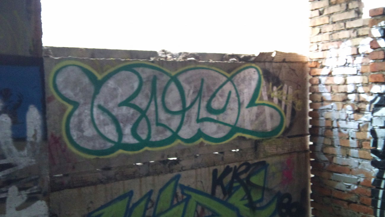 Graffiti Bombing - Photo by koal