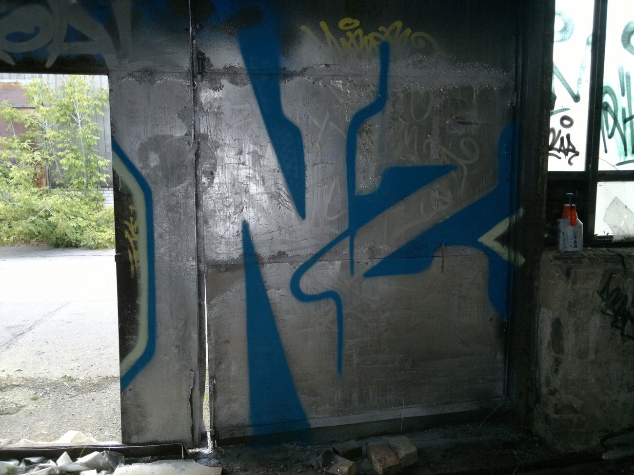 Graffiti Bombing - Photo by koal