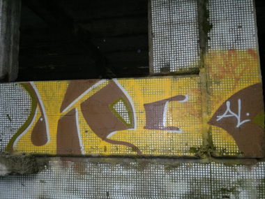 Graffiti Bombing - Photo by koal