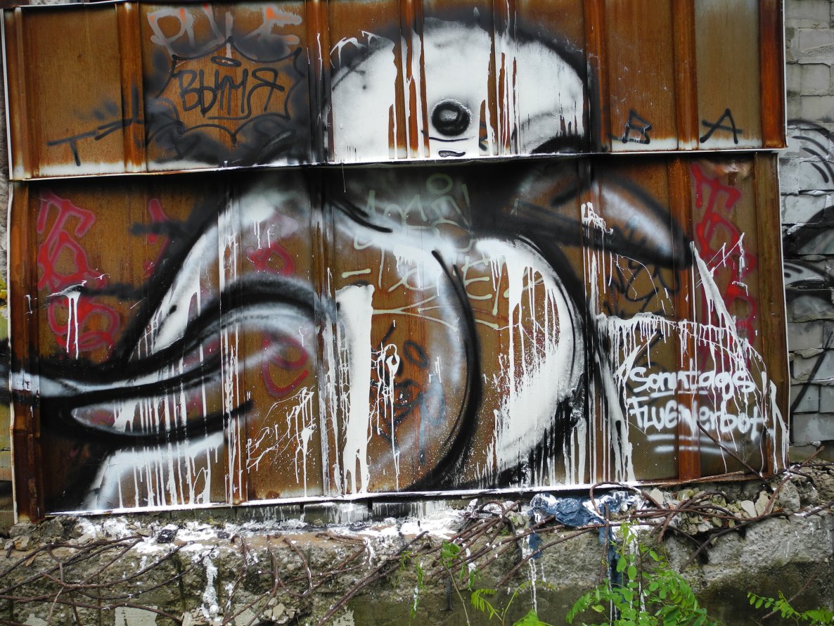 Graffiti Street Art - Photo by koeter - Sonntags, Flugverbot, Taube
