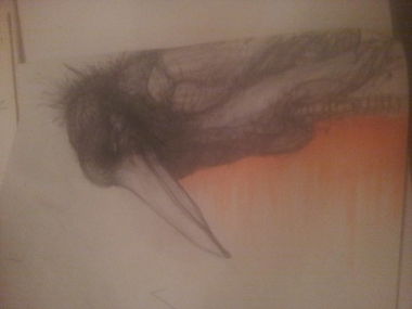 Graffiti Wall - Photo by kokoloris