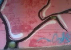 Photo #6617 by alcer