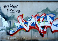 Photo #113101 by Belt