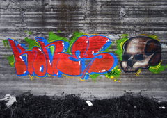 Photo #177316 by TagHagel