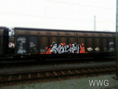 Graffiti Train - Photo by koolk - kosh, fp, dbf
