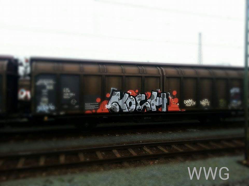 Graffiti Train - Photo by koolk - kosh, fp, dbf