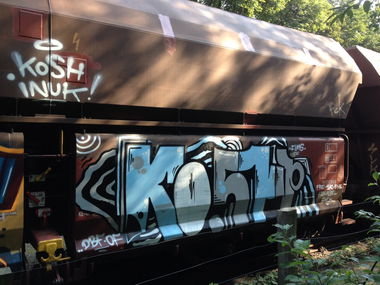 Graffiti Train - Photo by koolk - kosh, dbf, fp